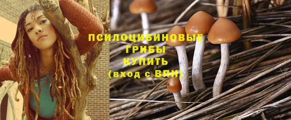 сатива Бугульма
